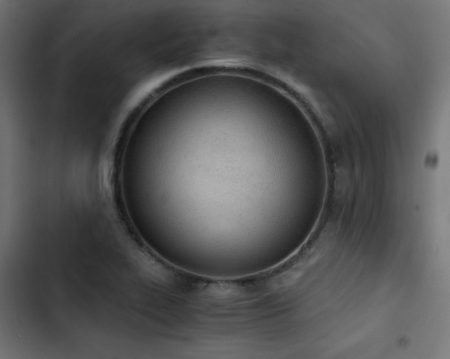 X0000103501319200809121729