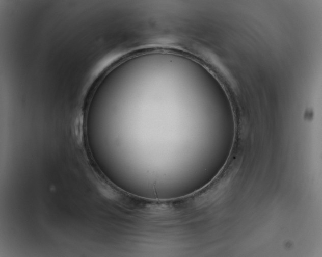 X0000103501320200809121729