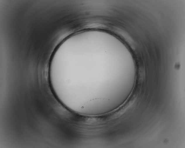 X0000103501322200809121729