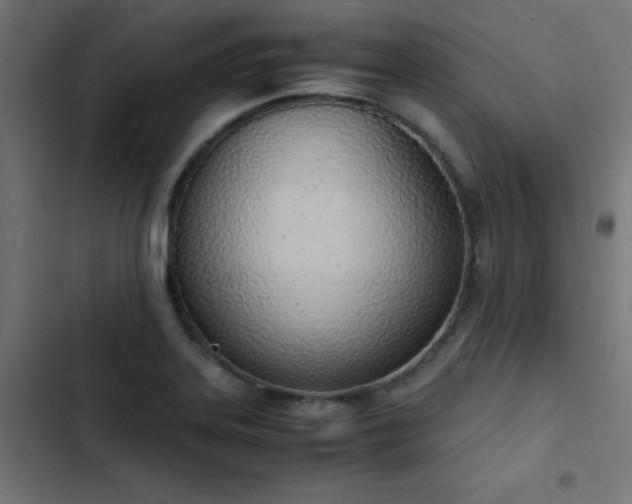 X0000103501323200809121729