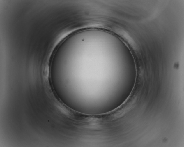 X0000103501324200809121729