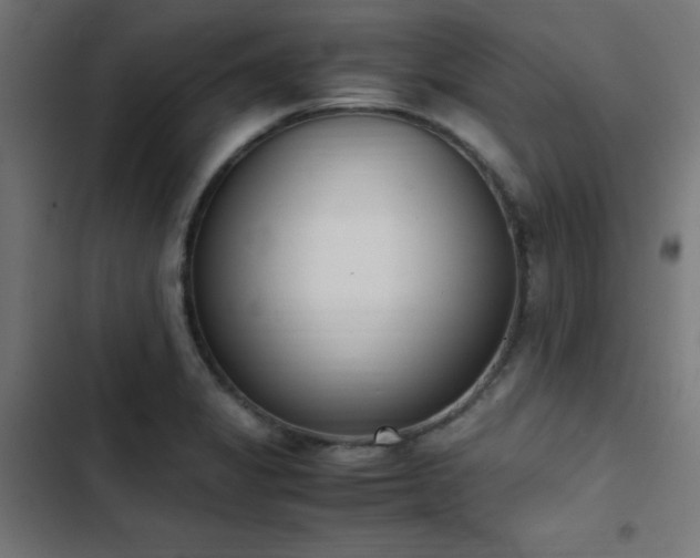 X0000103501325200809121729