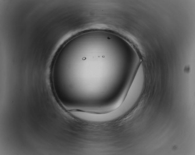 X0000103501326200809121729