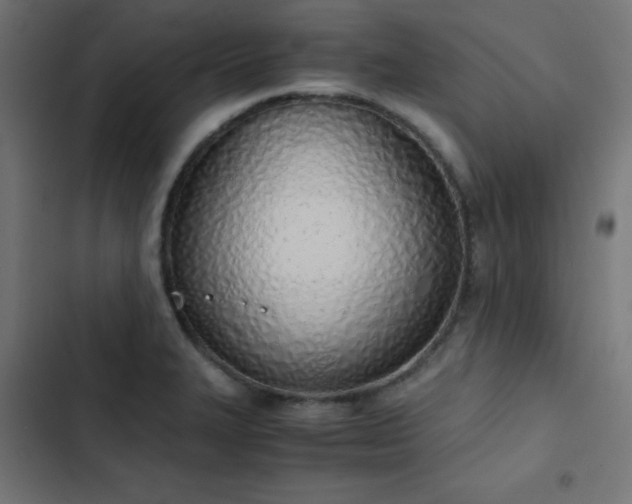 X0000103501327200809121729