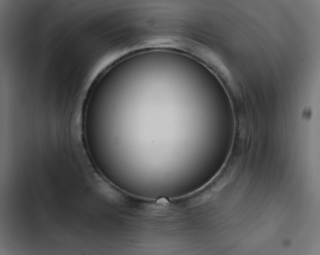 X0000103501328200809121729