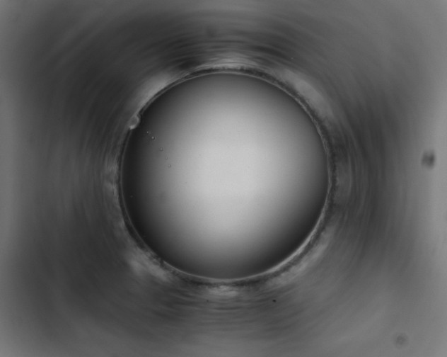 X0000103501329200809121729