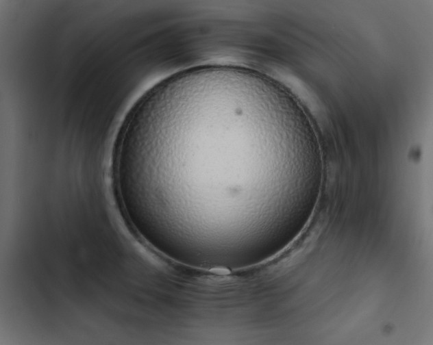 X0000103501331200809121729