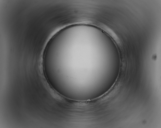 X0000103501332200809121729