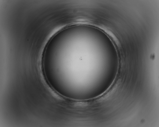 X0000103501333200809121730