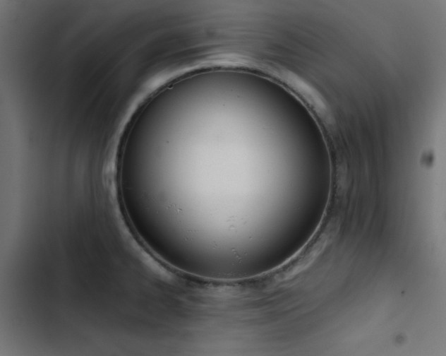 X0000103501334200809121730