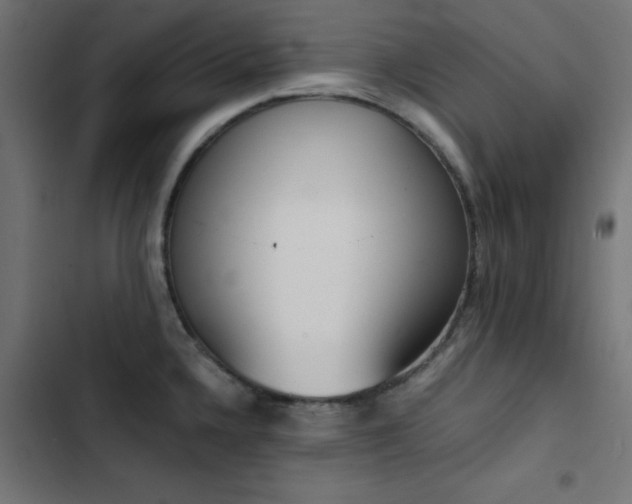 X0000103501336200809121730