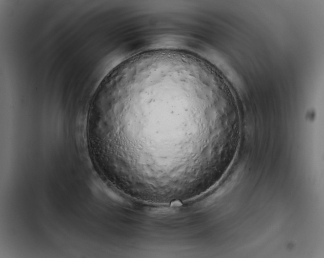 X0000103501337200809121730