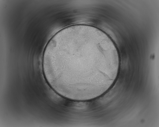 X0000103501338200809121730