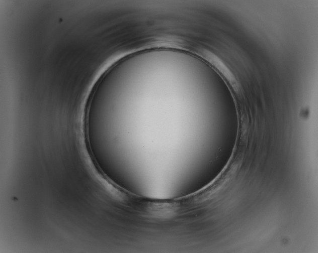 X0000103501339200809121730