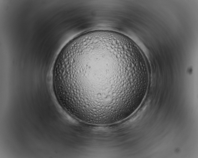 X0000103501341200809121730