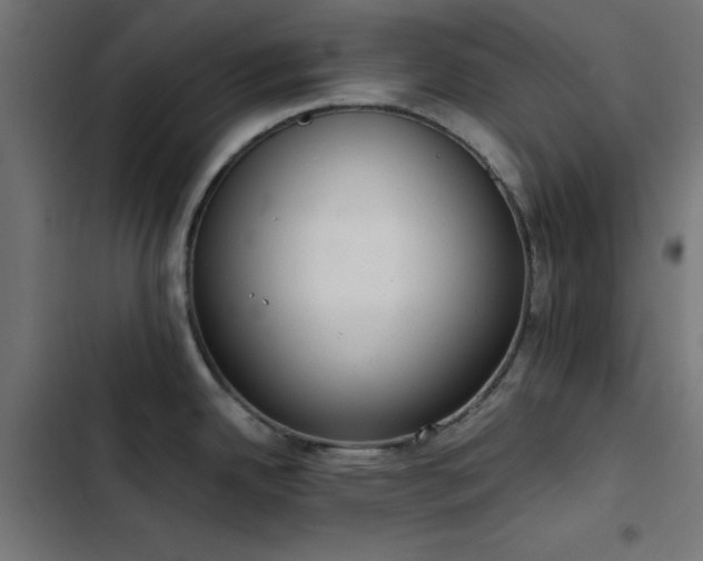 X0000103501342200809121730