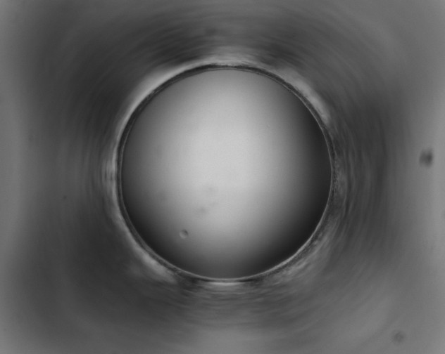 X0000103501343200809121730