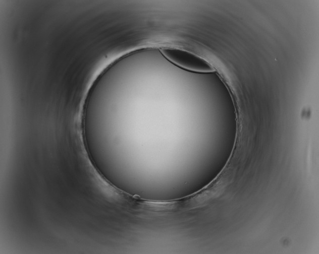 X0000103501344200809121730