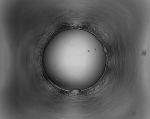 X0000103501345200809121729