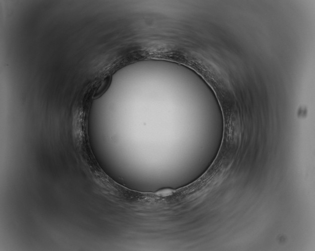 X0000103501346200809121729