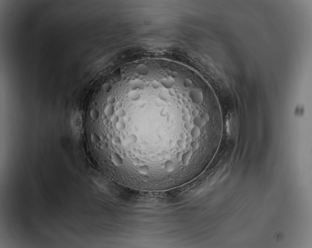 X0000103501347200809121729