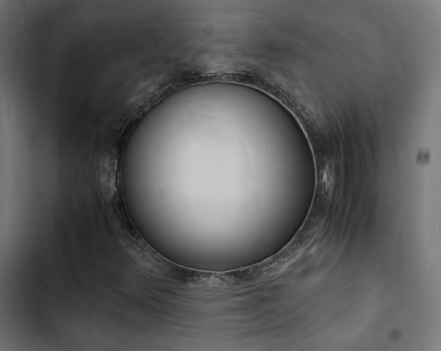 X0000103501348200809121729