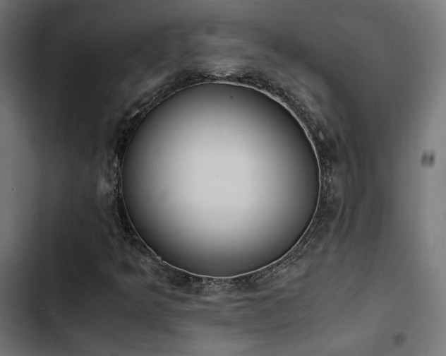 X0000103501349200809121729