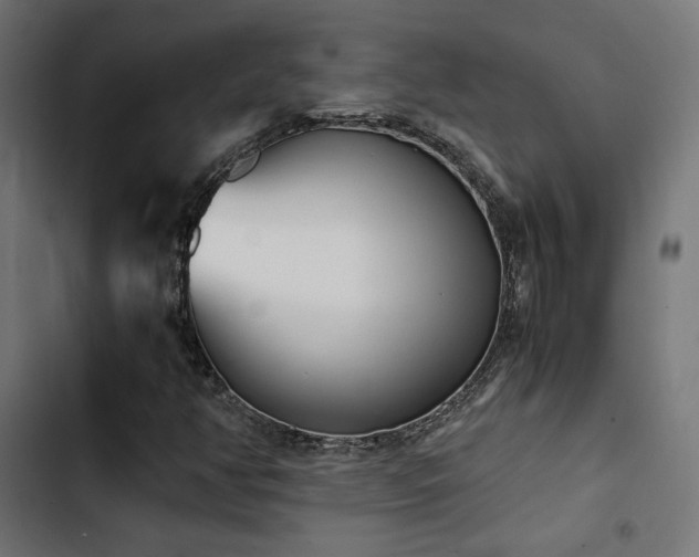 X0000103501350200809121729