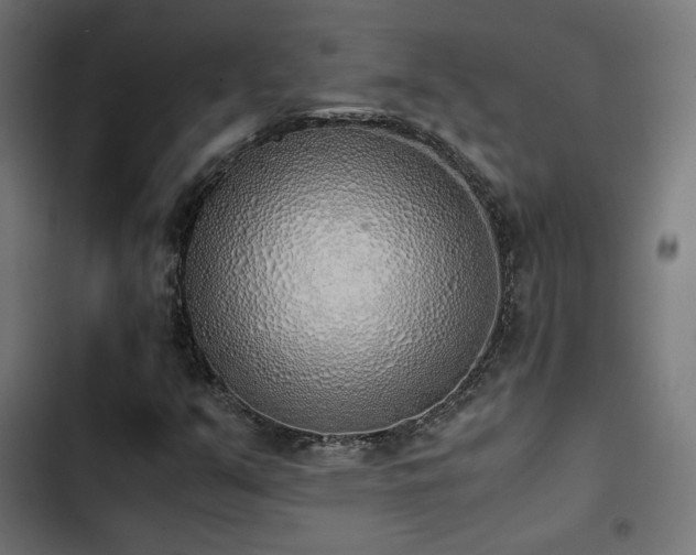 X0000103501351200809121729