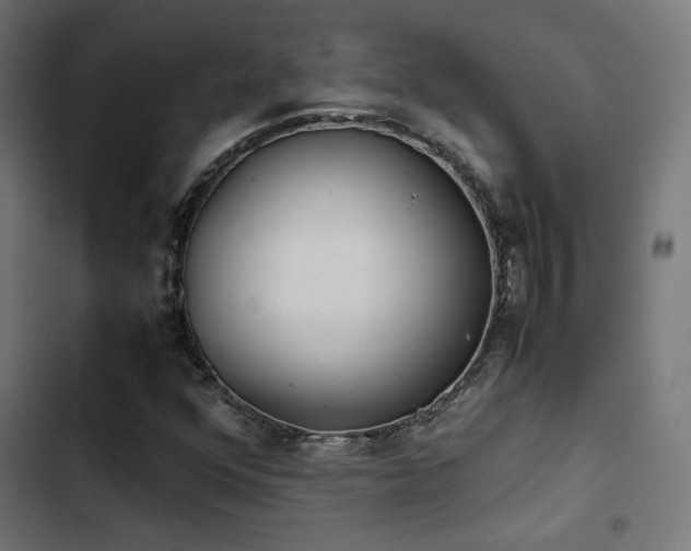 X0000103501352200809121729