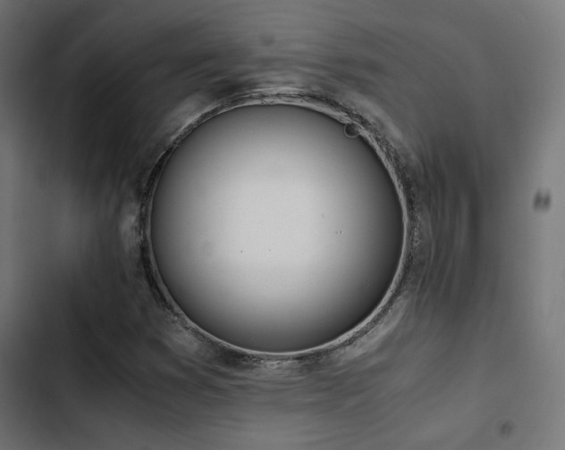 X0000103501353200809121729