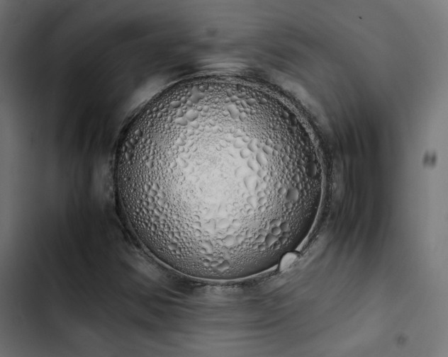 X0000103501354200809121729