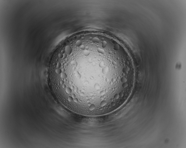 X0000103501355200809121729