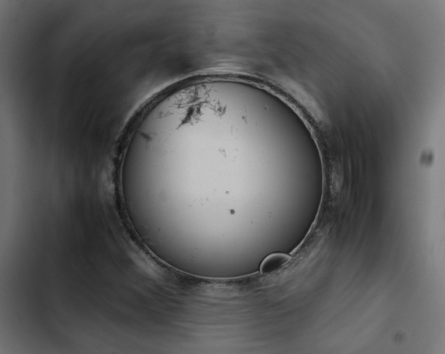 X0000103501356200809121729