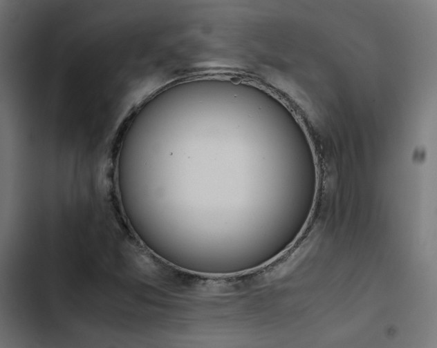 X0000103501357200809121729