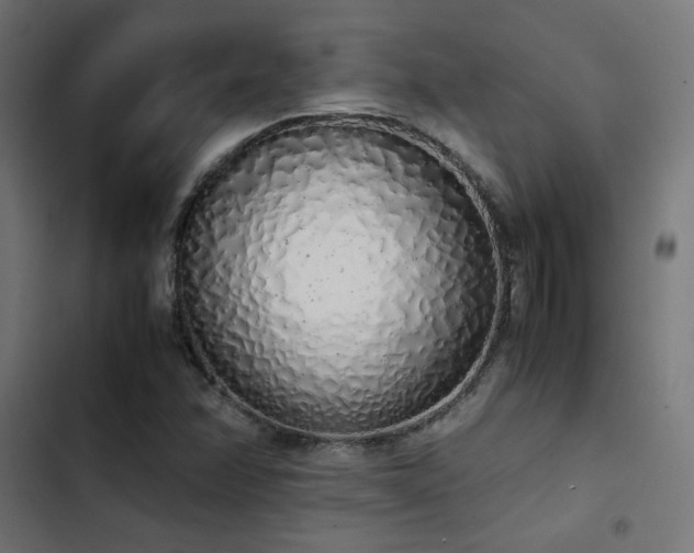 X0000103501358200809121729