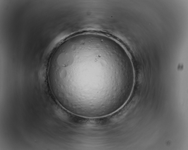 X0000103501359200809121729