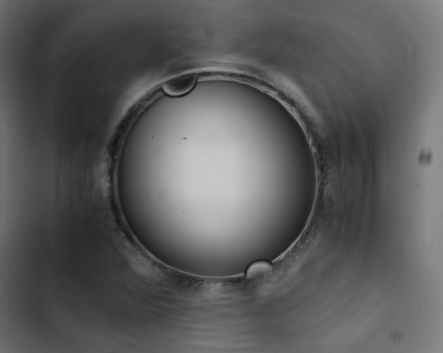 X0000103501360200809121729