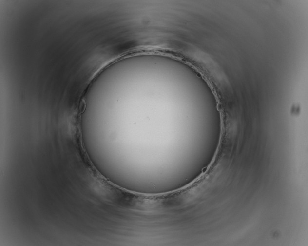 X0000103501361200809121729