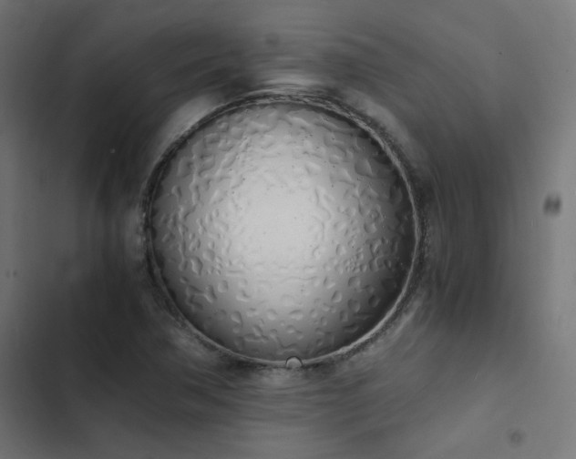 X0000103501362200809121729