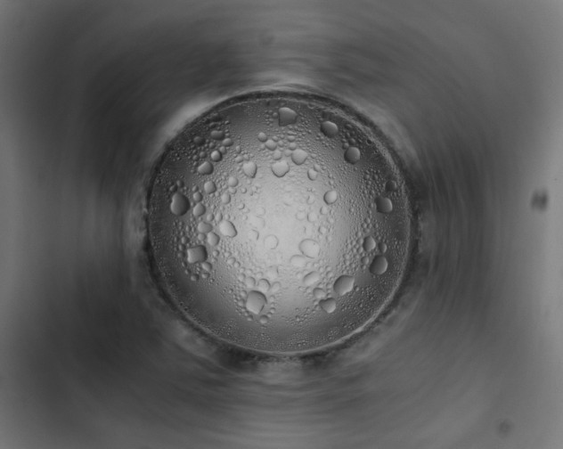 X0000103501363200809121729