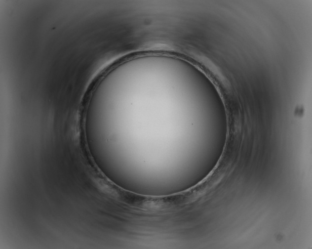 X0000103501364200809121729