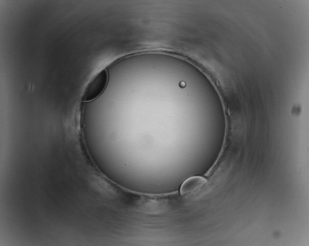 X0000103501365200809121729