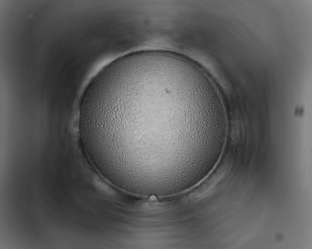 X0000103501366200809121729