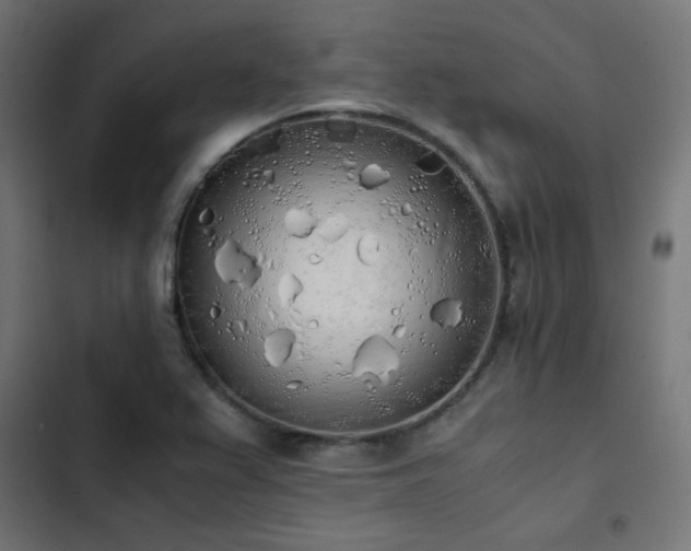 X0000103501367200809121729