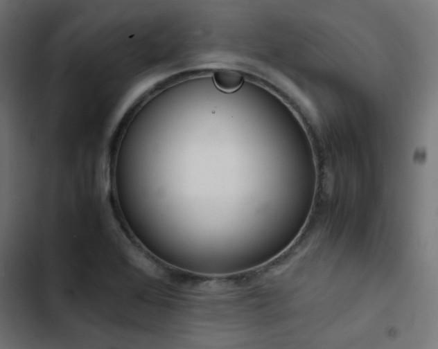 X0000103501368200809121729