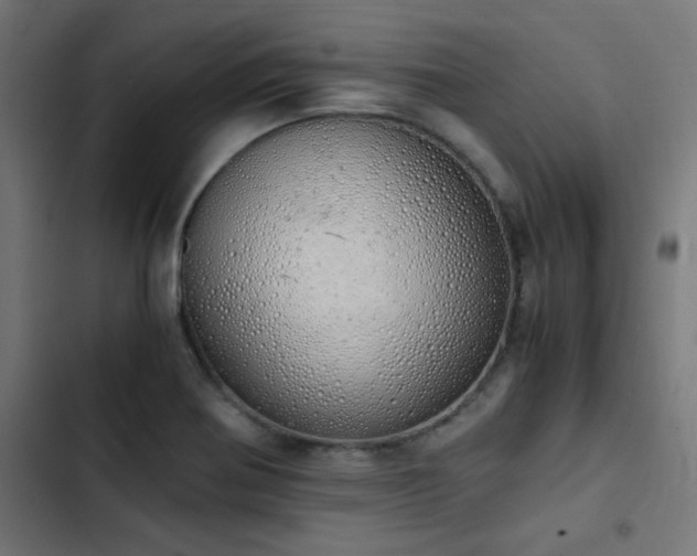 X0000103501370200809121728