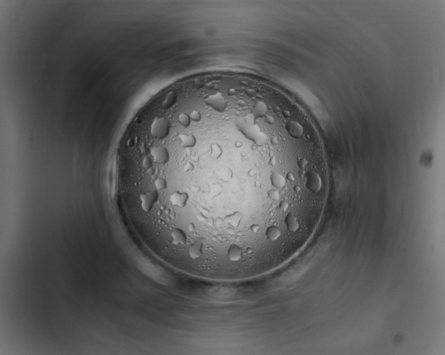 X0000103501371200809121728