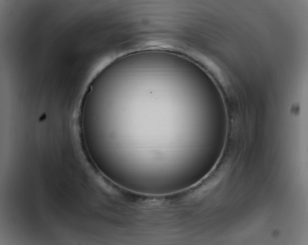 X0000103501373200809121728