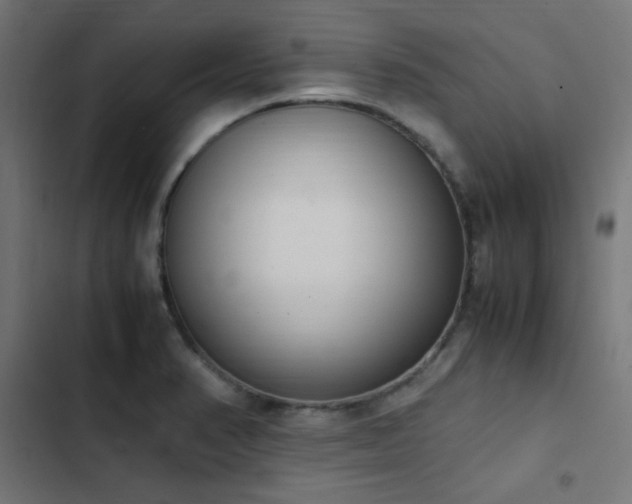 X0000103501374200809121728